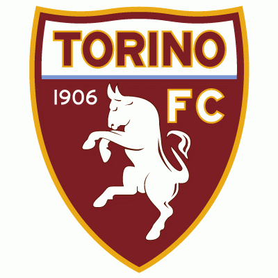 italian serie a torino fc pres primary logo t shirt iron on transfers